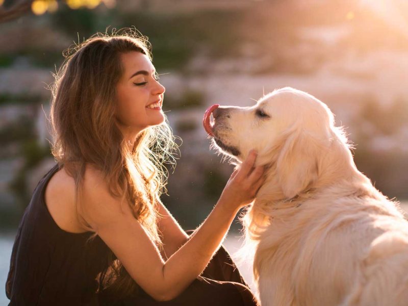 planes-de-salud-perros-adultos
