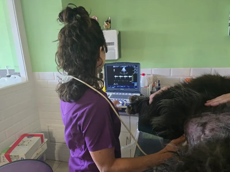 trivet-calafell-cardiologia-5