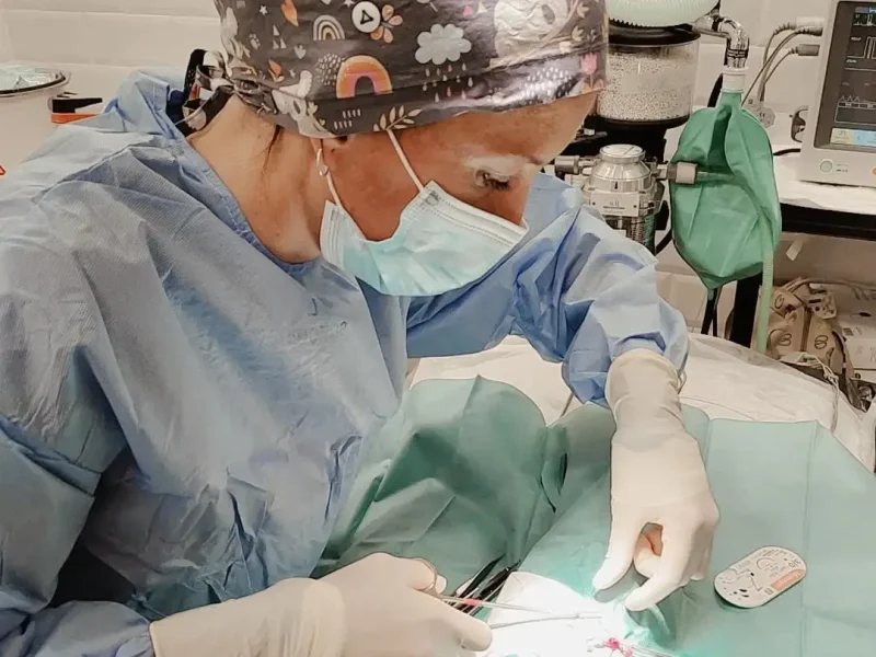 Cirugia veterinaria en Trivet Centro Veterinario de Calafell