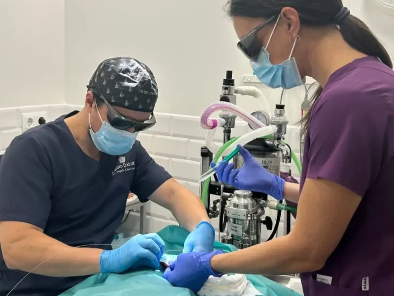 Videoendoscopia en Trivet Centro Veterinario de Calafell